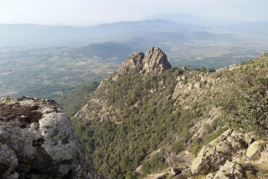 foto peña buvera